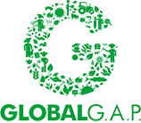 Glogal Gap Glogal Gap Logo