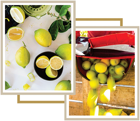 Citrus Products Citrus Products