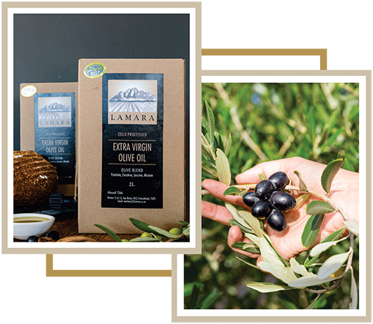 Olive Oil Products
