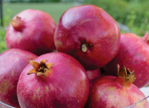 PomegranateHome