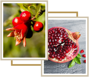 Pomegranates